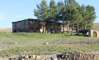C-359: Ruin, bare 5 minutter fra Lajatico